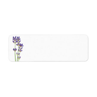 Étiquette Fleurs De Lavande Isolées Sur Arrière - plan Blanc