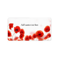 Fleurs de pavot rouge orange sur blanc