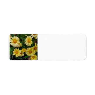 Étiquette Fleurs d'été