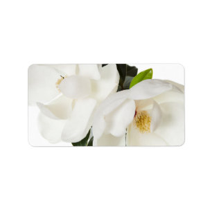Étiquette Fleurs florales de magnolia de magnolias blanches