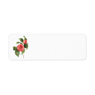 Étiquette Fleurs Florales Vintage, Fleurs de Camélia Rose pa