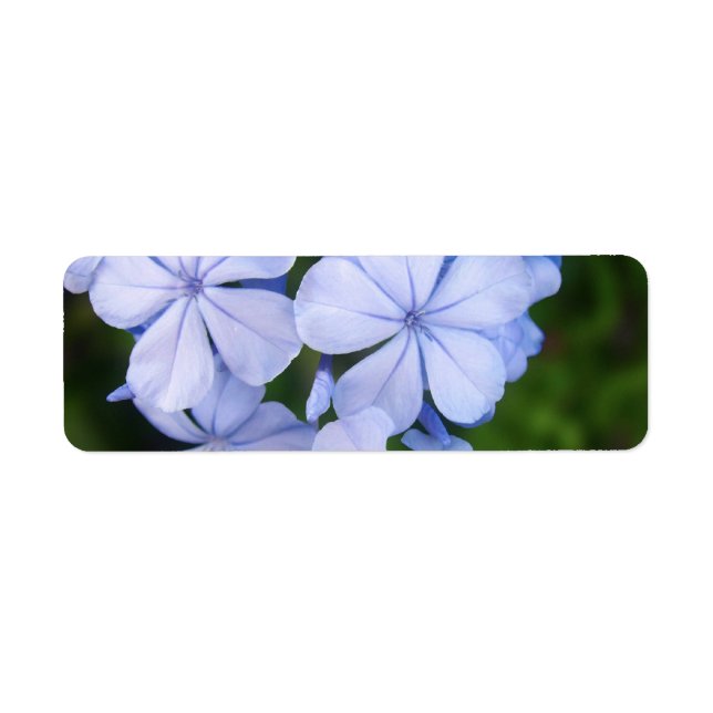 Étiquette Fond Bokeh Floral Bleu (Devant)