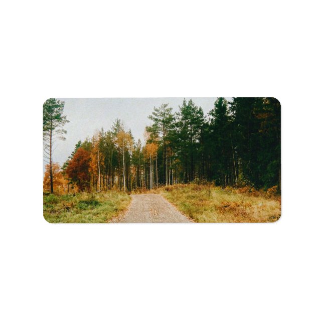 Étiquette Forêt automnale suédoise (Devant)