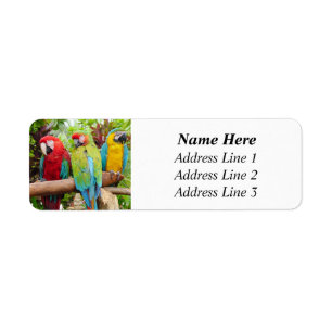 Étiquette Foule de perroquets macaw colorés Adresse de retou