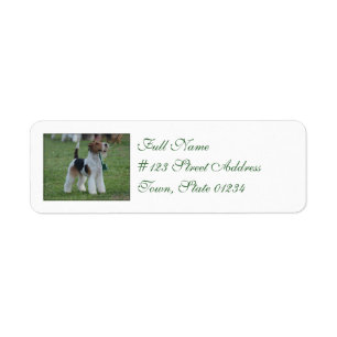 Étiquette Fox Terrier