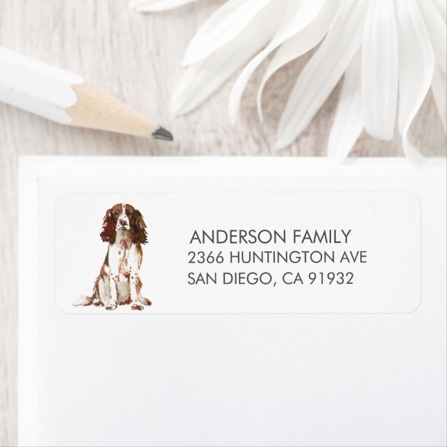 Étiquette Français Springer Spaniel Dog Adresse de retour La (En situation)