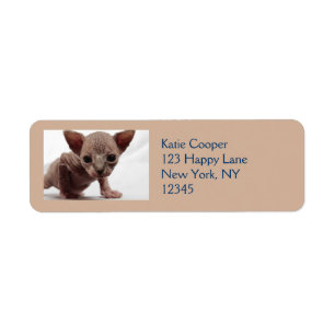 Étiquette Freaky Cute Furless