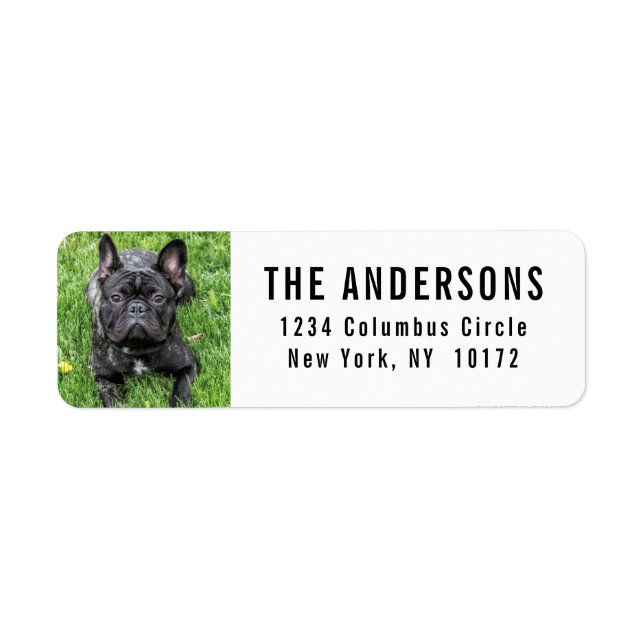 Étiquette French Bulldog Custom Return Address (Devant)