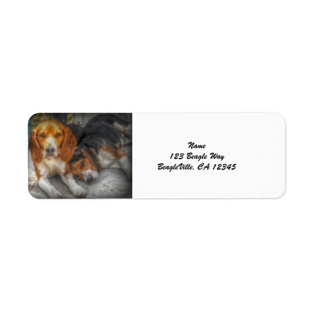 Étiquette Frères beagles (Devant)