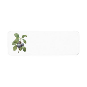 Étiquette Fruits alimentaires anciens, prunes de jardin viol