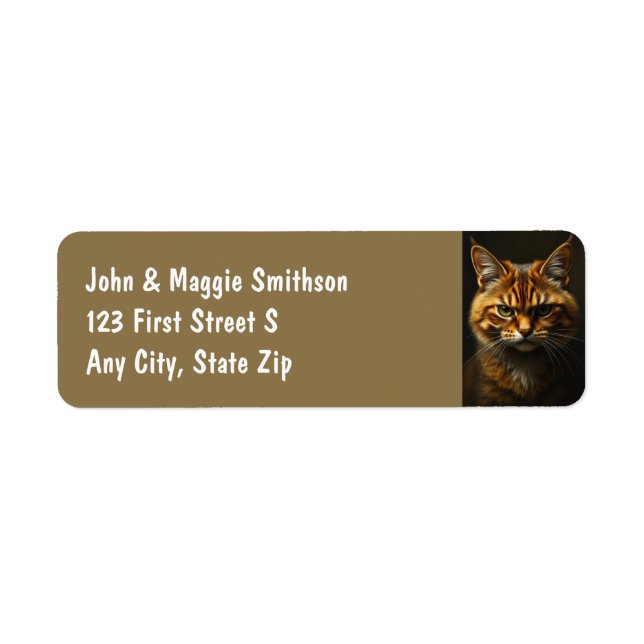 Étiquette Fun Grumpy Orange Tabby Chat chaton (Devant)