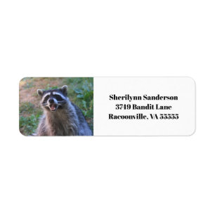 Étiquette Funny Raccoon photo