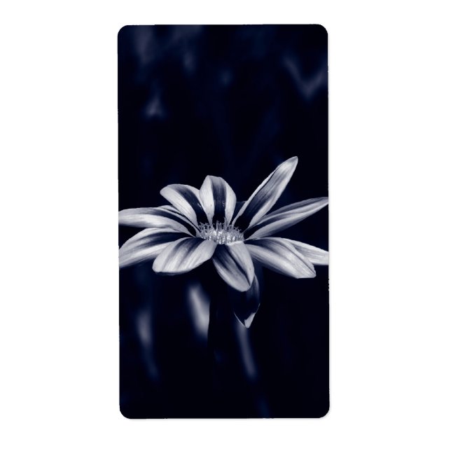 ÉTIQUETTE GAZANIA (Devant)