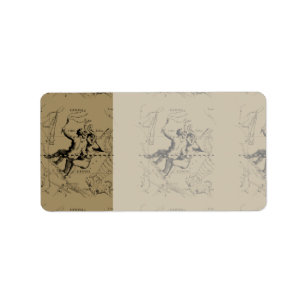 Étiquette Gemini Constellation Map Hevelius circa 1690