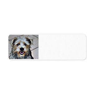 Étiquette Glen d'Imaal Terrier