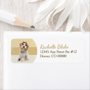 Étiquette Gold Stripe Shih-Tzu Dog Adresse de retour