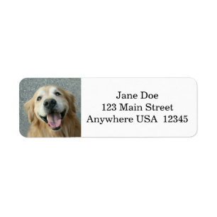 Étiquette Golden retriever de sourire