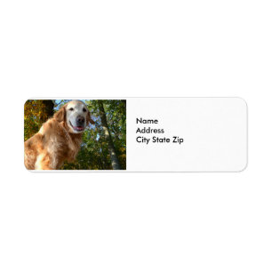 Étiquette Golden retriever heureux de chien/étiquettes de