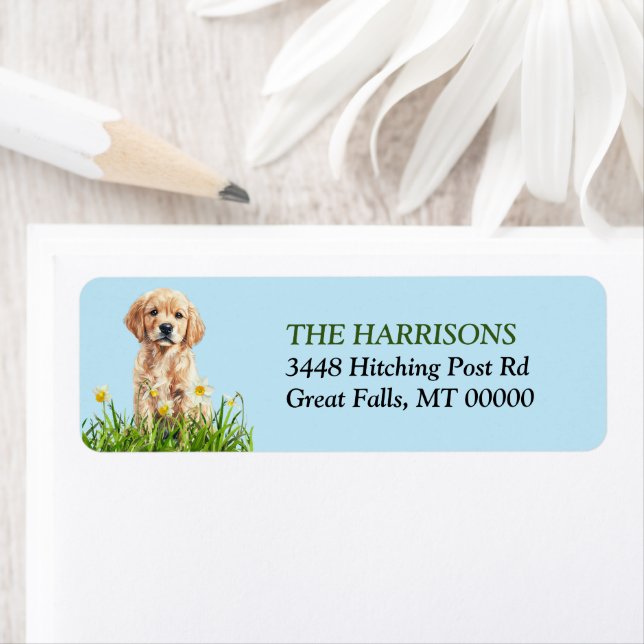 Étiquette Golden Retriever Puppy DaffodiGarden (En situation)