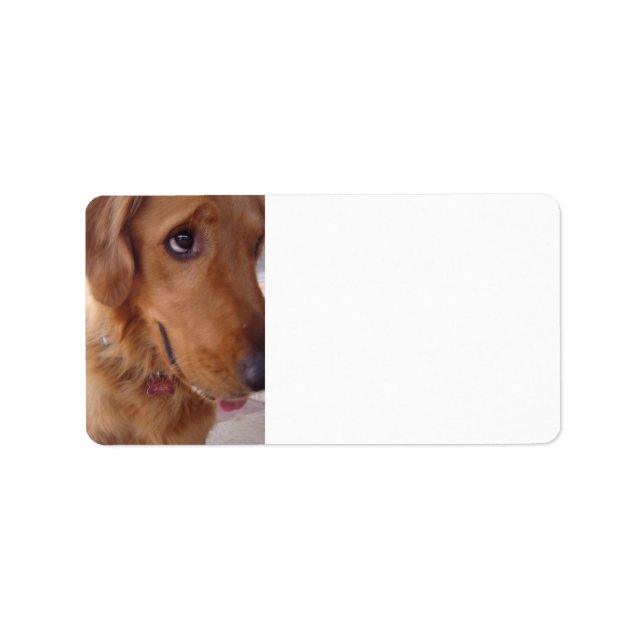 Étiquette Goofy Golden (Devant)