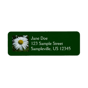 Étiquette Gouttes de pluie sur Daisy II Fleur sauvage Floral