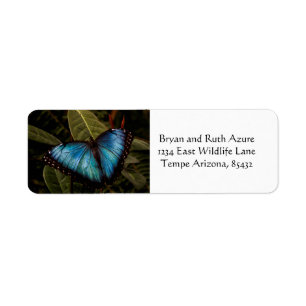 Étiquette Grand, beau, papillon bleu