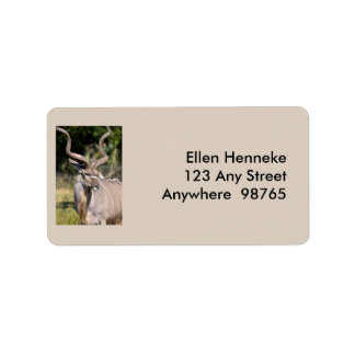 Étiquette Grand Kudu