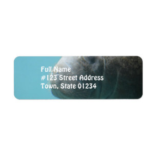 Étiquette Grand lamantin sous-marin