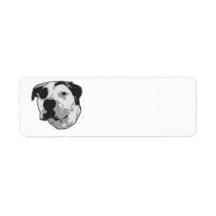 Étiquette Graphique d'à l'os de pitbull