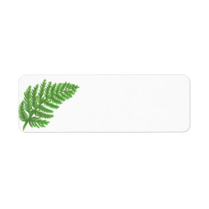 Étiquette Green Fern