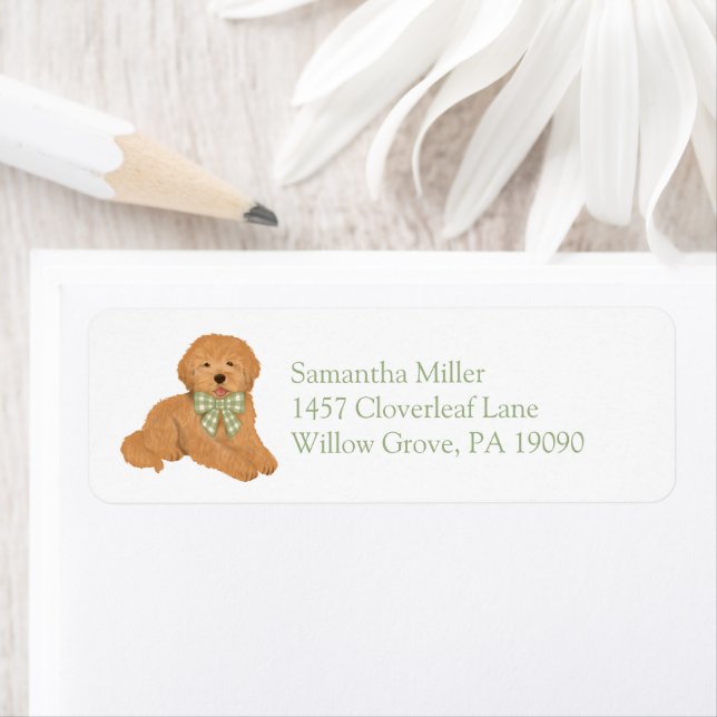 Étiquette Green Goldendoodle Puppy Return Address Label (En situation)