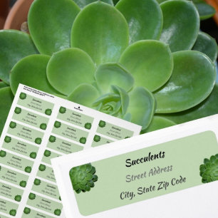 Étiquette Green Succulents photographique Adresse de retour