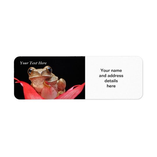 Étiquette Grenouille mignonne et drôle dans le modèle du lis