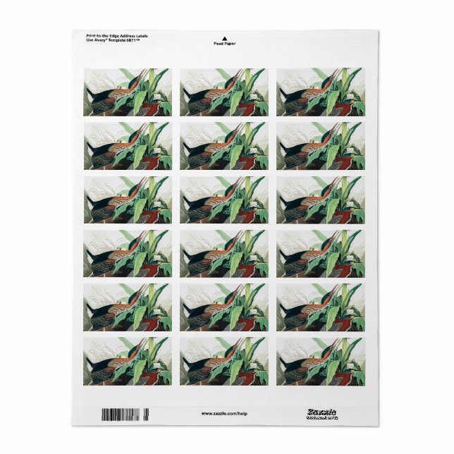 Étiquette Heron vert par John James Audubon (Feuille entière)