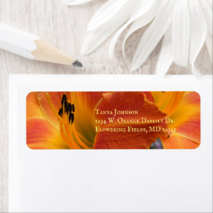 Étiquette Heures / Hemerocallis / Lily orange /