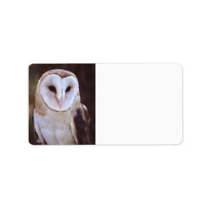 Étiquette hibou de grange