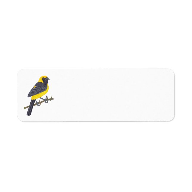 ÉTIQUETTE HOODED ORIOLE  (Devant)