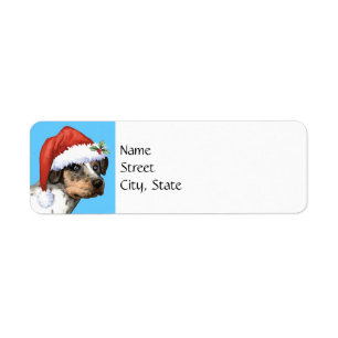 Étiquette Howlidays heureux Catahoula