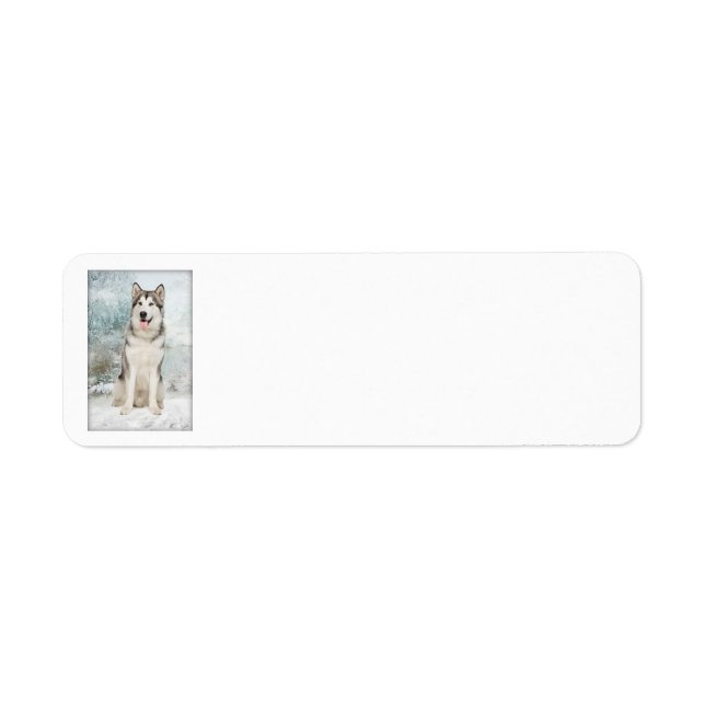 Étiquette Husky Return Address Labels (Devant)