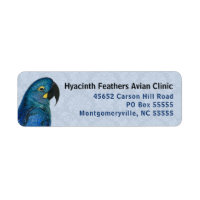 Hyacinth Macaw Avian Business Blue Adresse de reto