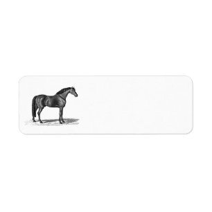 Étiquette Illustration Arabe de cheval de 1800s vintages -