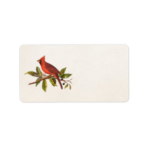 Étiquette Illustration cardinale vintage d'oiseau de chanson