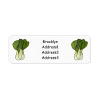 Illustration de Bok choy