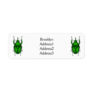 Étiquette Illustration de bug Mecynorhina torquata