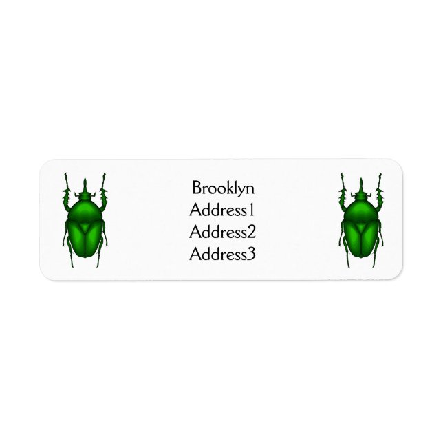 Étiquette Illustration de bug Mecynorhina torquata (Devant)