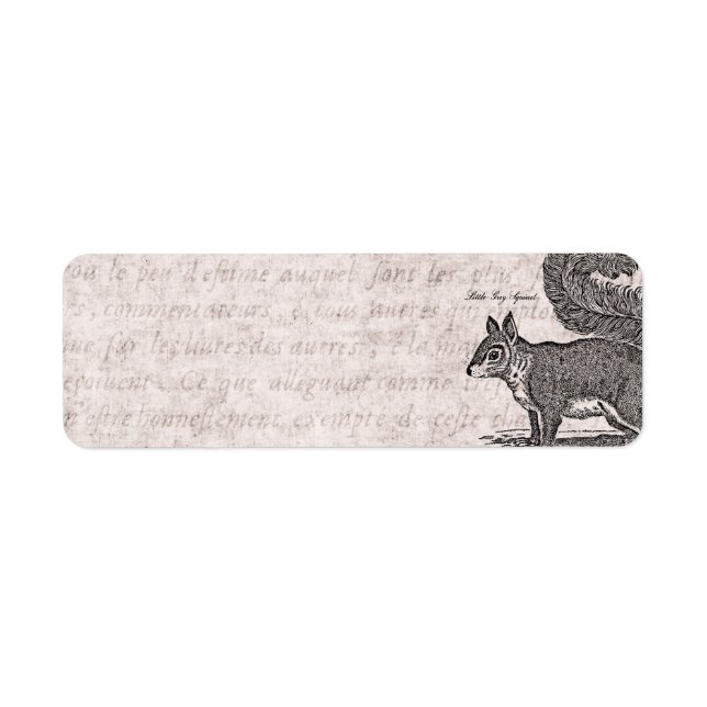 Étiquette Illustration d'écureuil vintage - Écureuils des an (Devant)