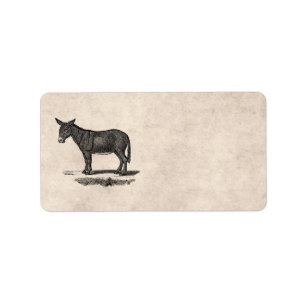 Étiquette Illustration vintage d'âne - ânes 1800's