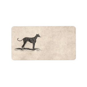 Étiquette Illustration vintage de chien de lévrier de 1800s