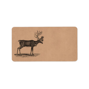 Étiquette Illustration vintage de renne - Noël 1800's
