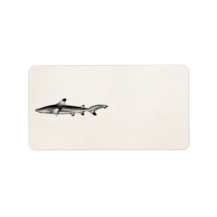 Étiquette Illustration vintage de requin de récif - noir